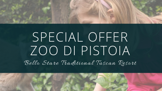 Special offer Pistoia Zoo: a holiday in Tuscany to discover animals and nature. Special offer Pistoia Zoo: a holiday in Tuscany to discover animals and nature.