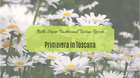 Offerte Primavera BelloStare primavera in toscana