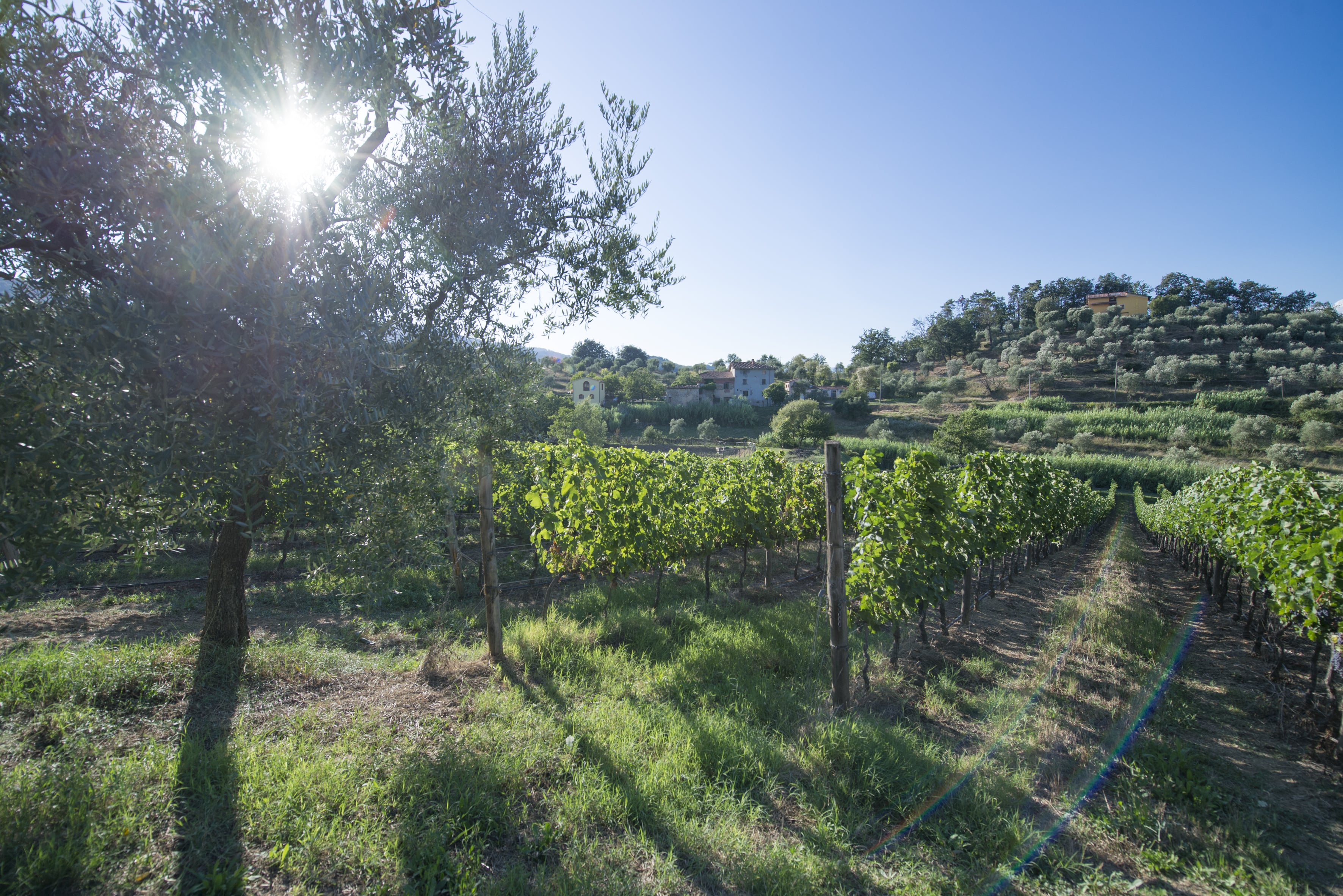 Agriturismo in Toscana con Piscina