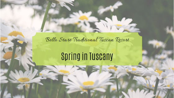 spring in tuscany